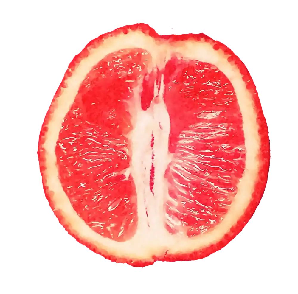 Grapefruit